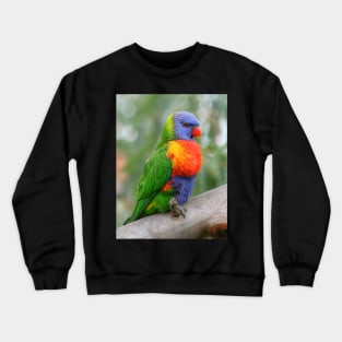 Young Rainbow Crewneck Sweatshirt